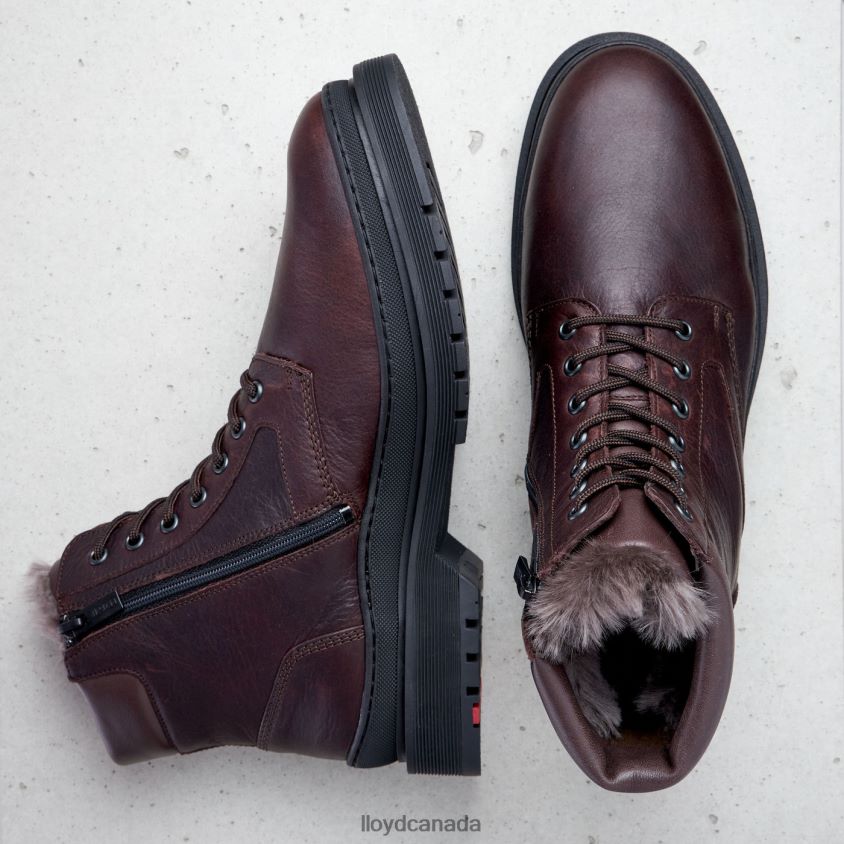 HOLLIS LLOYD Men brown R084ZF509 Shoes