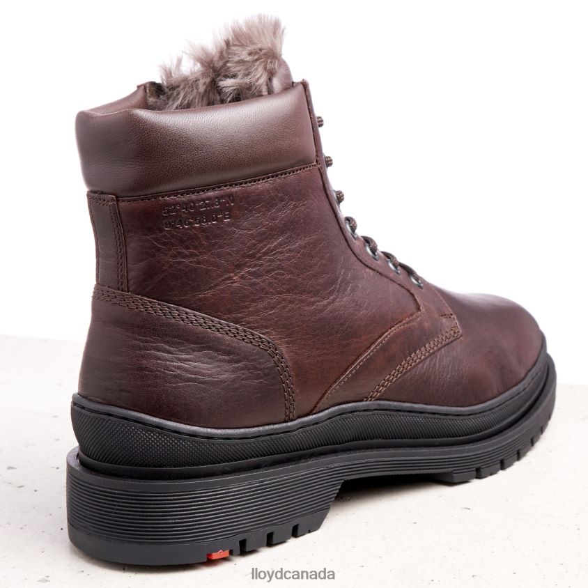 HOLLIS LLOYD Men brown R084ZF509 Shoes