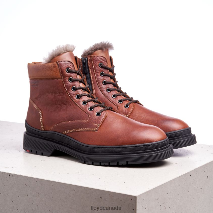 HOLLIS LLOYD Men brown R084ZF537 Shoes