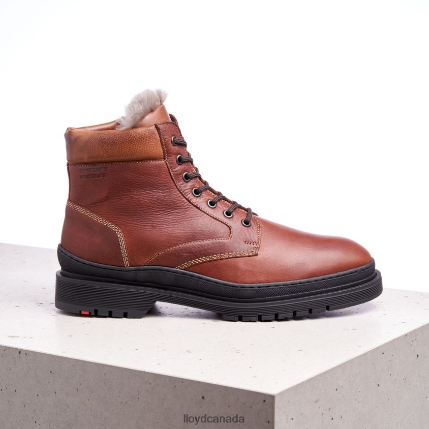 HOLLIS LLOYD Men brown R084ZF537 Shoes
