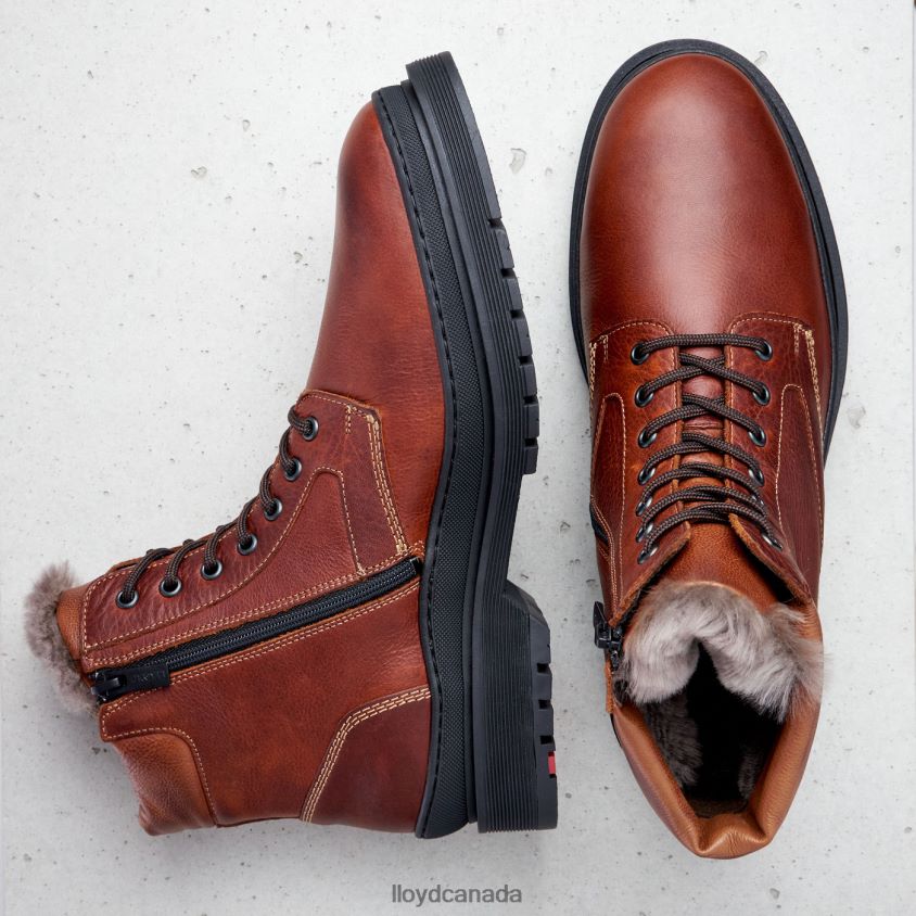 HOLLIS LLOYD Men brown R084ZF537 Shoes