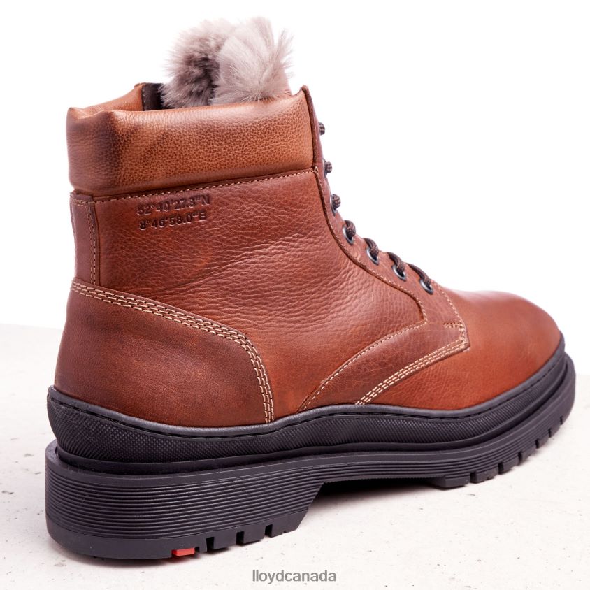HOLLIS LLOYD Men brown R084ZF537 Shoes