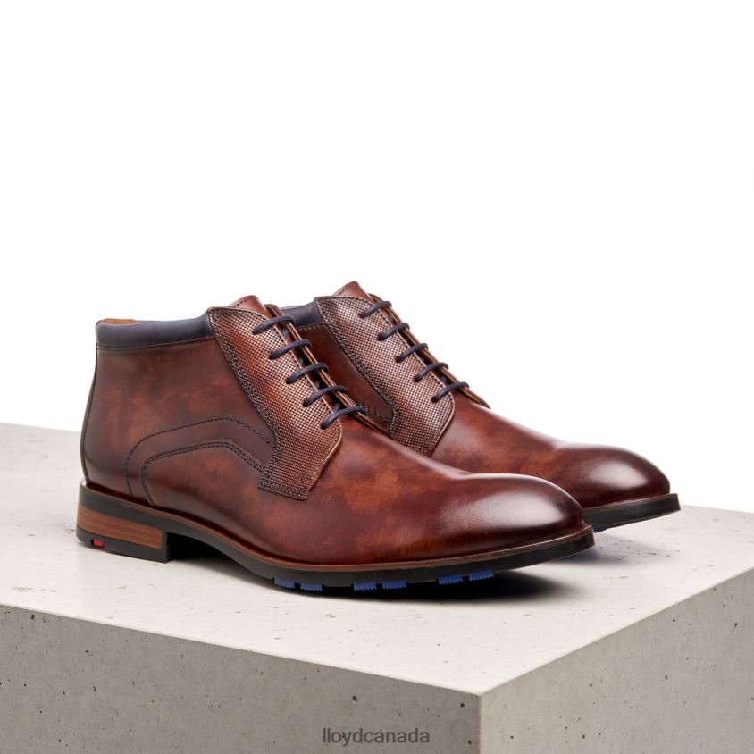 JARON LLOYD Men brown R084ZF542 Shoes