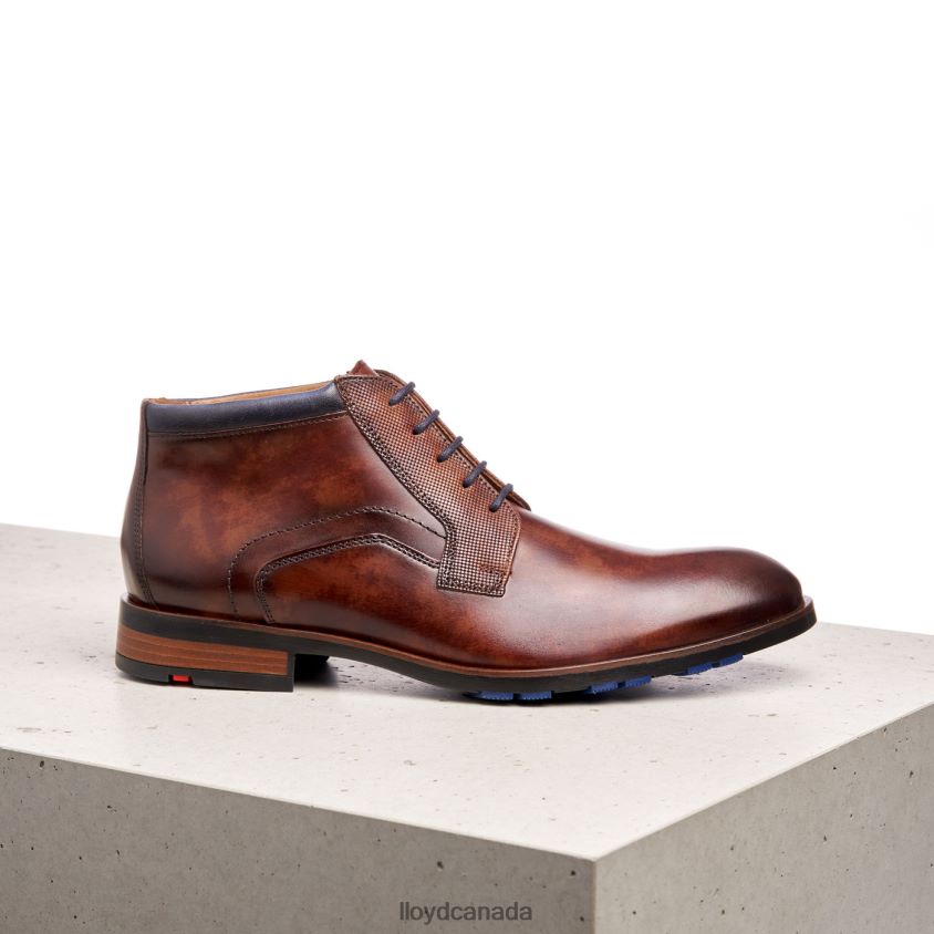 JARON LLOYD Men brown R084ZF542 Shoes