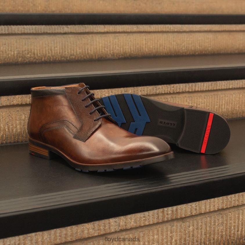 JARON LLOYD Men brown R084ZF542 Shoes