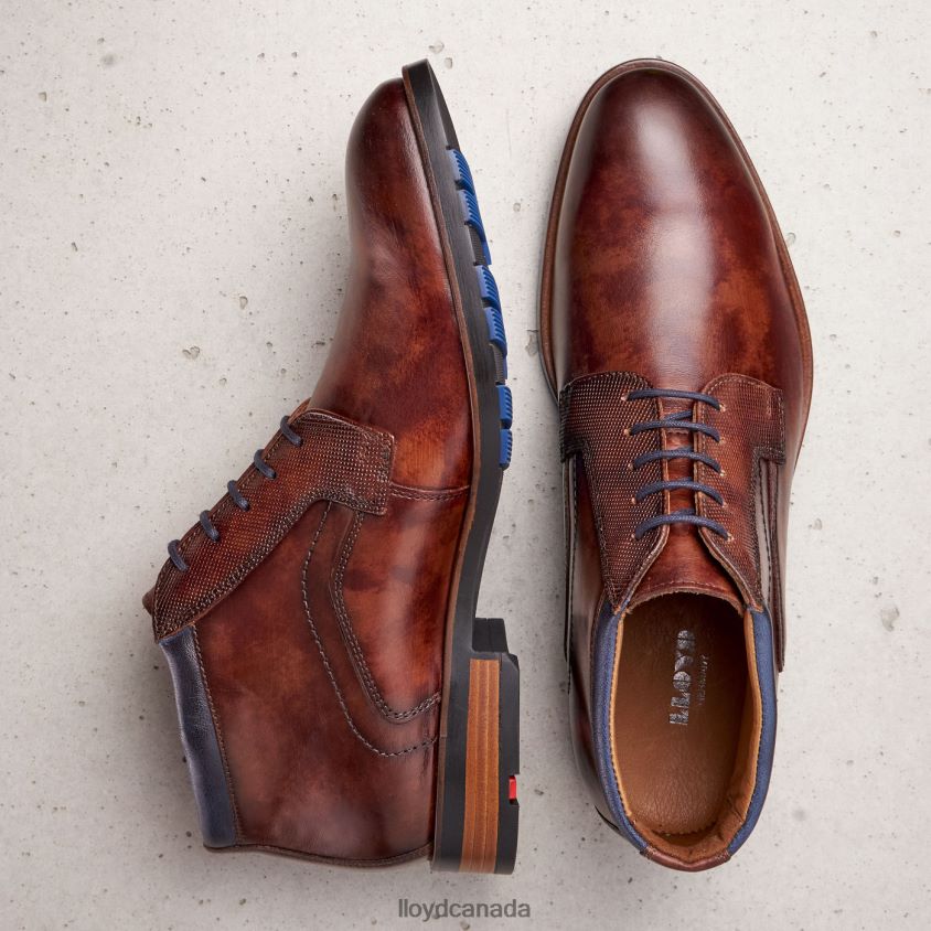 JARON LLOYD Men brown R084ZF542 Shoes