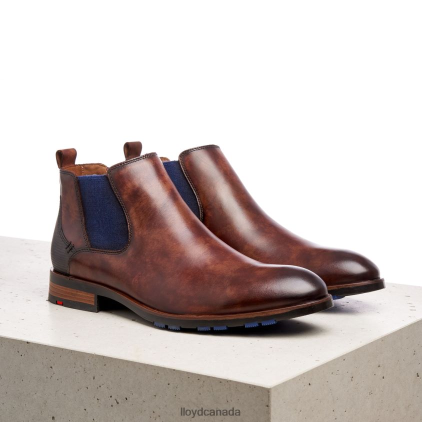 JASER LLOYD Men brown R084ZF200 Shoes