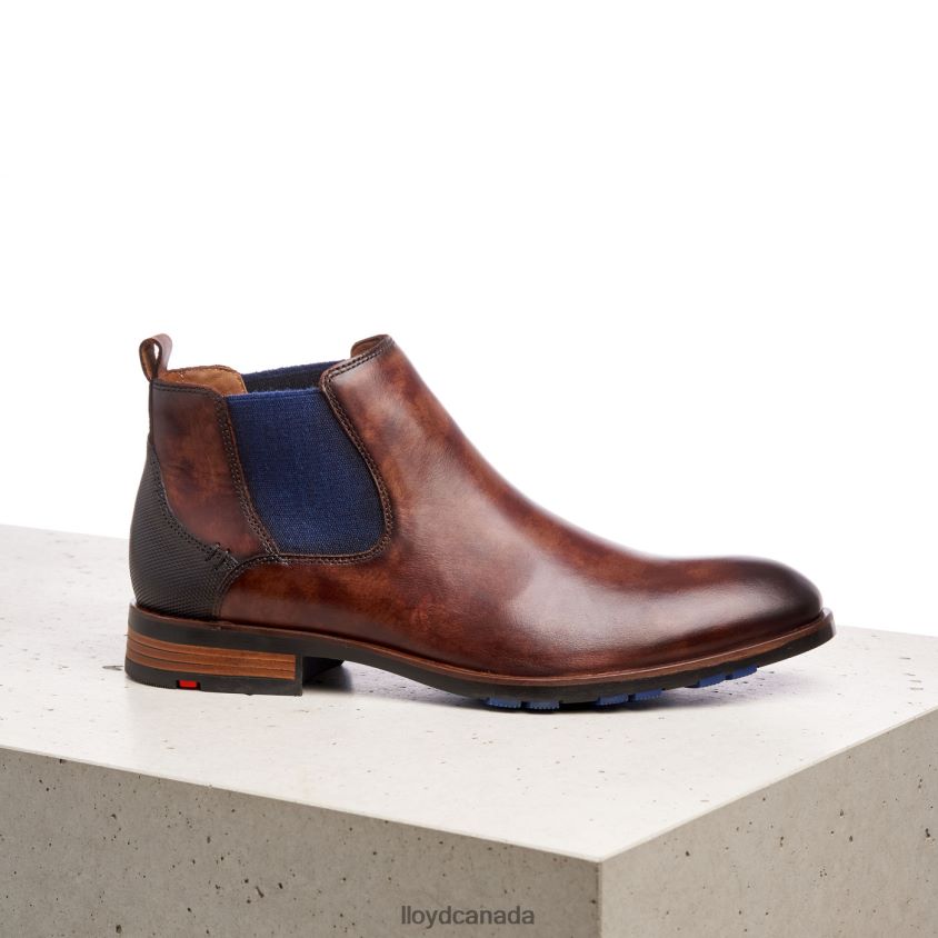 JASER LLOYD Men brown R084ZF200 Shoes