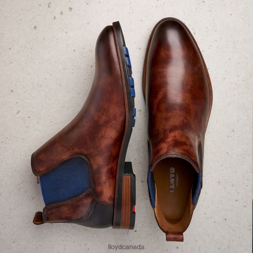 JASER LLOYD Men brown R084ZF200 Shoes