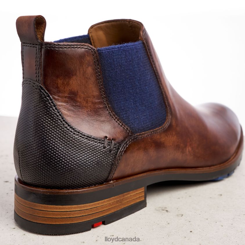 JASER LLOYD Men brown R084ZF200 Shoes