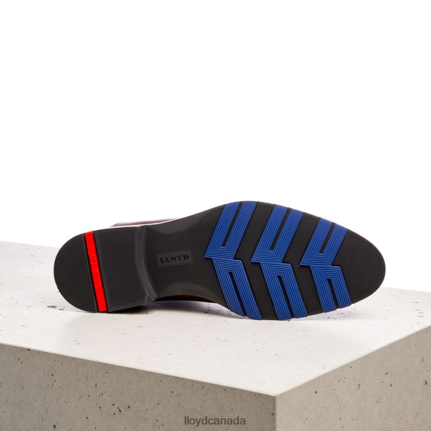 JASER LLOYD Men brown R084ZF200 Shoes