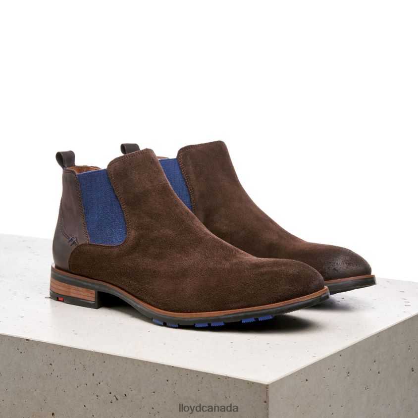 JASER LLOYD Men brown R084ZF496 Shoes