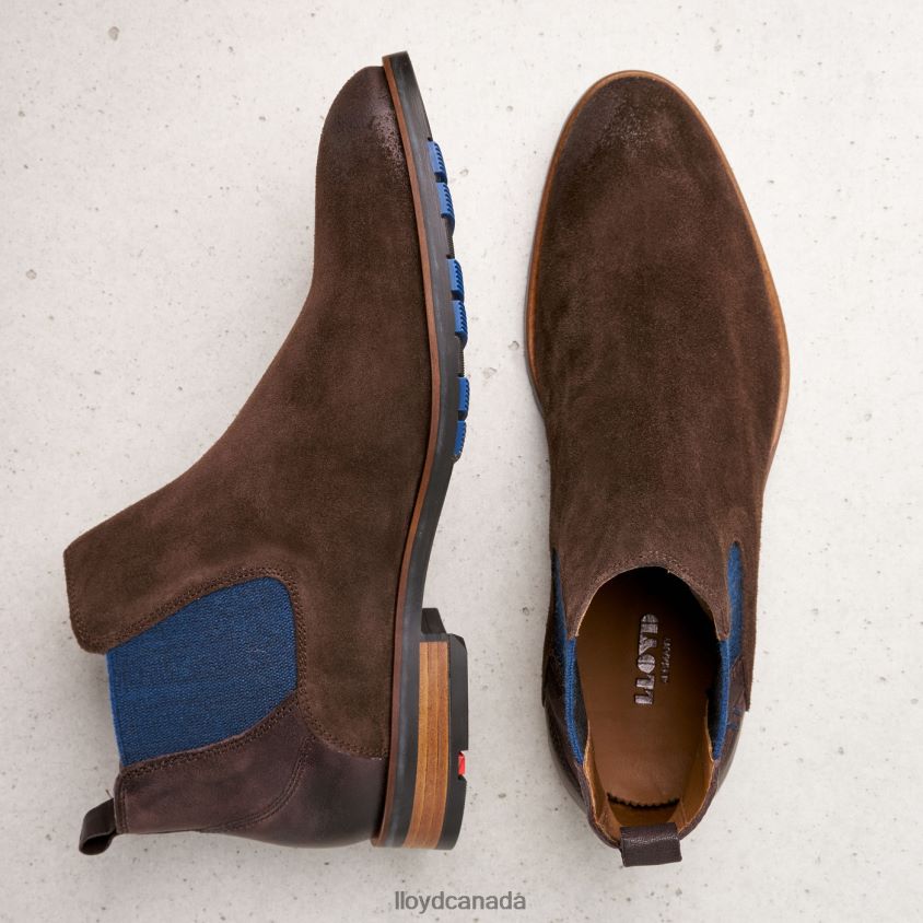 JASER LLOYD Men brown R084ZF496 Shoes