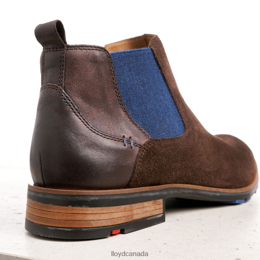 JASER LLOYD Men brown R084ZF496 Shoes