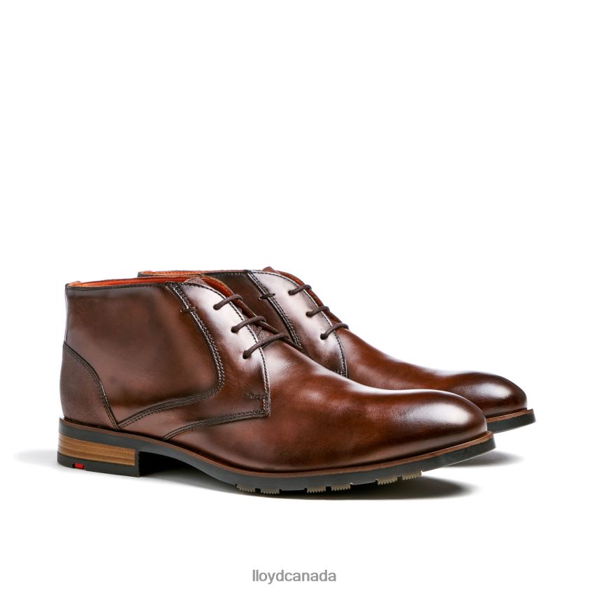 JEFFREY LLOYD Men brown R084ZF471 Shoes