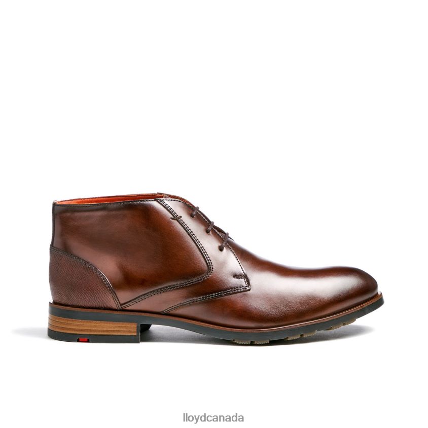 JEFFREY LLOYD Men brown R084ZF471 Shoes