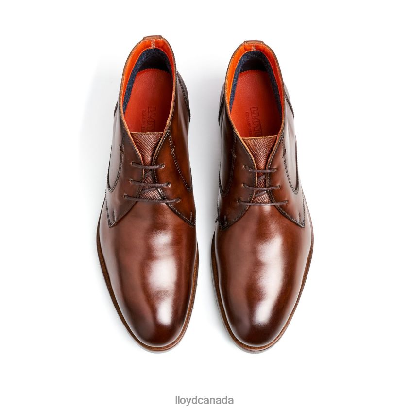 JEFFREY LLOYD Men brown R084ZF471 Shoes