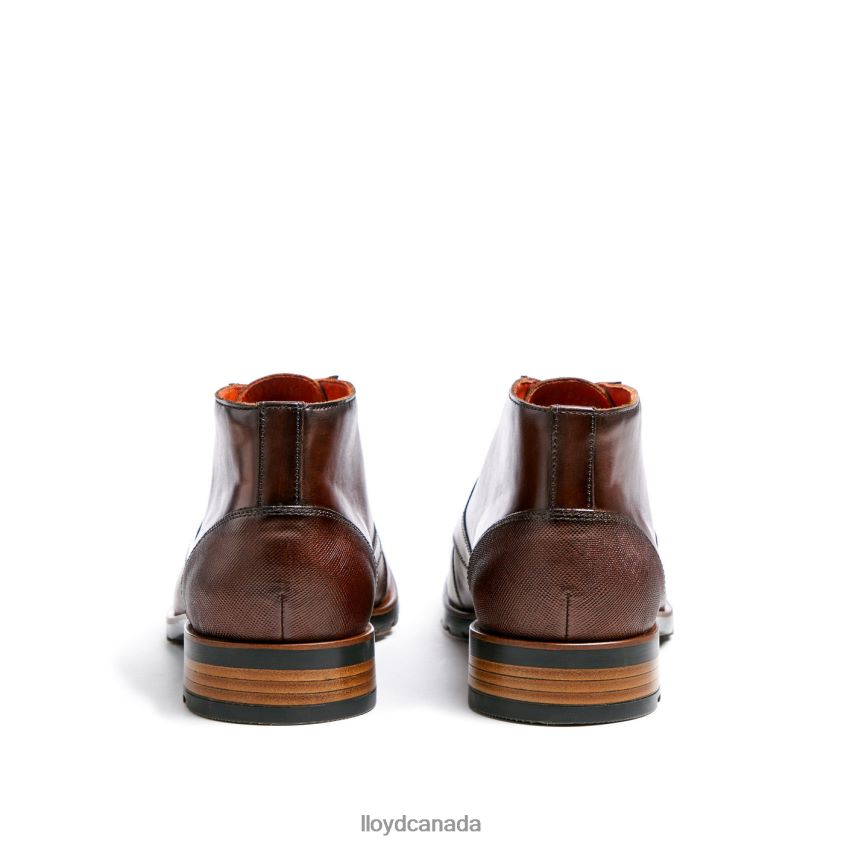 JEFFREY LLOYD Men brown R084ZF471 Shoes