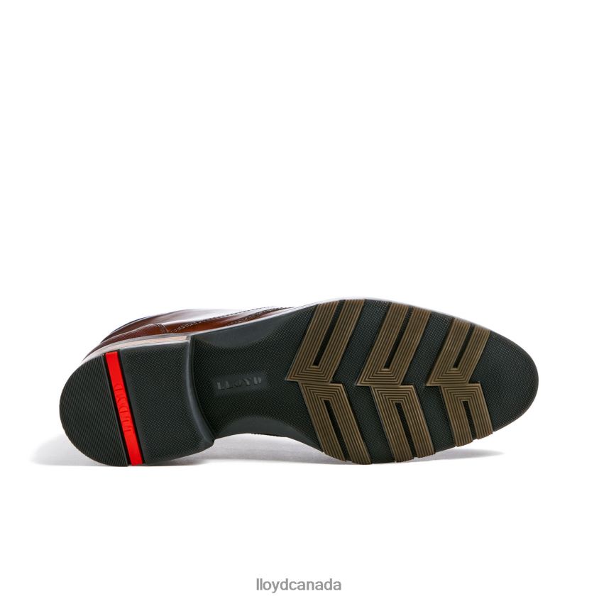 JEFFREY LLOYD Men brown R084ZF471 Shoes