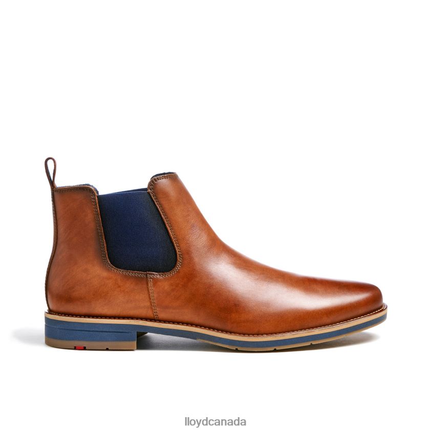 LAWRENCE LLOYD Men brown R084ZF453 Shoes