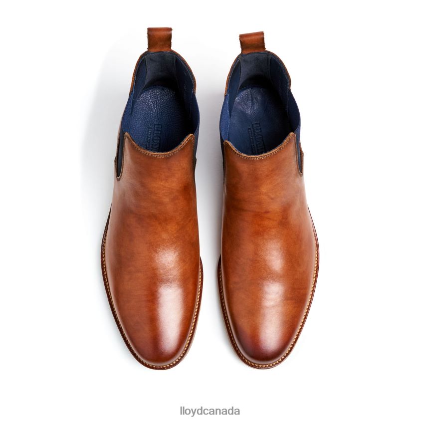 LAWRENCE LLOYD Men brown R084ZF453 Shoes