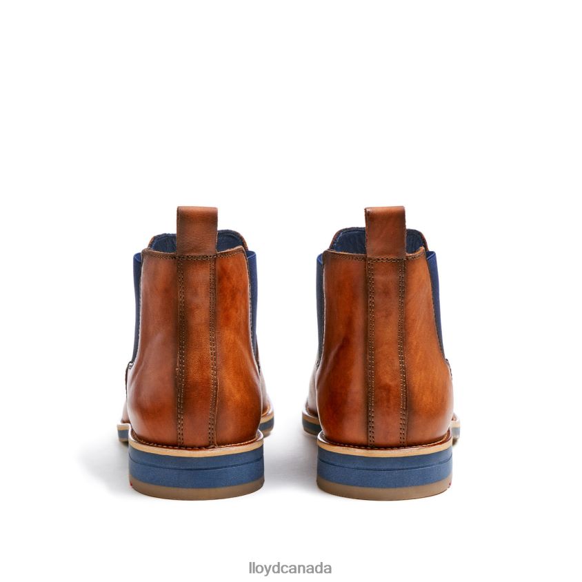 LAWRENCE LLOYD Men brown R084ZF453 Shoes