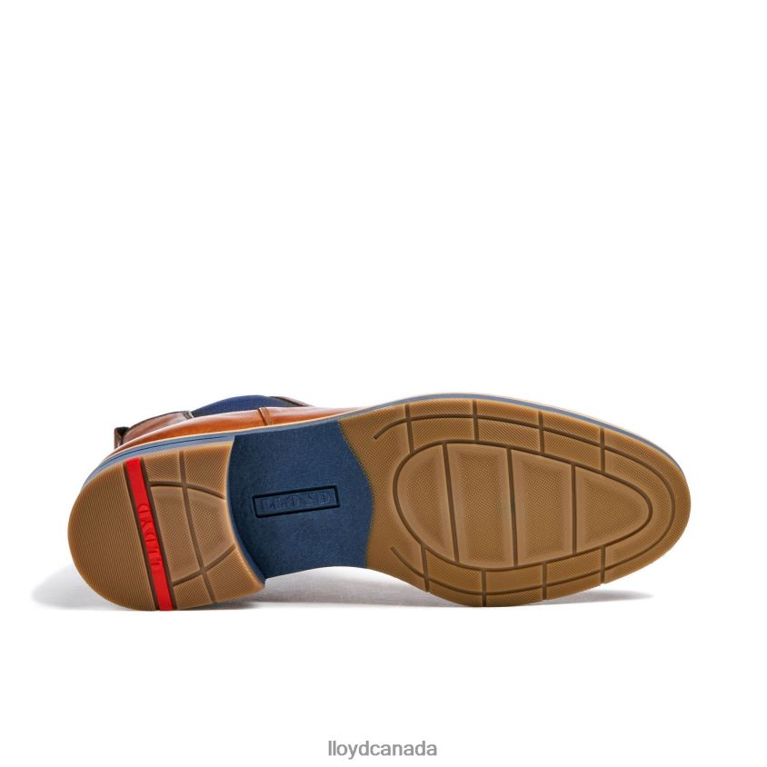LAWRENCE LLOYD Men brown R084ZF453 Shoes