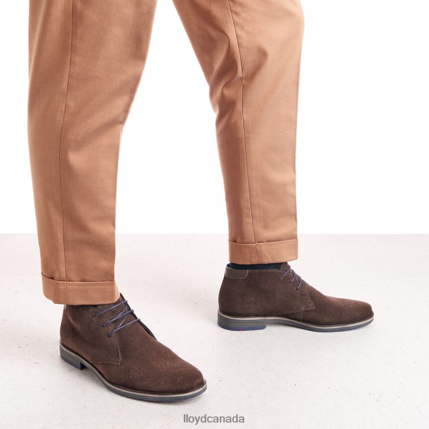 LENARD LLOYD Men brown R084ZF536 Shoes