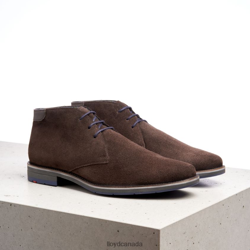 LENARD LLOYD Men brown R084ZF536 Shoes