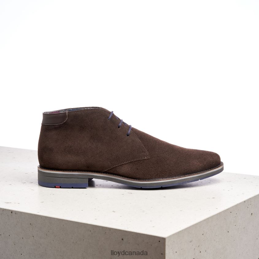 LENARD LLOYD Men brown R084ZF536 Shoes