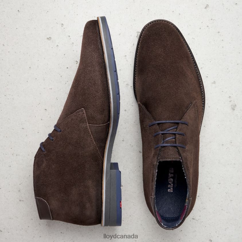 LENARD LLOYD Men brown R084ZF536 Shoes