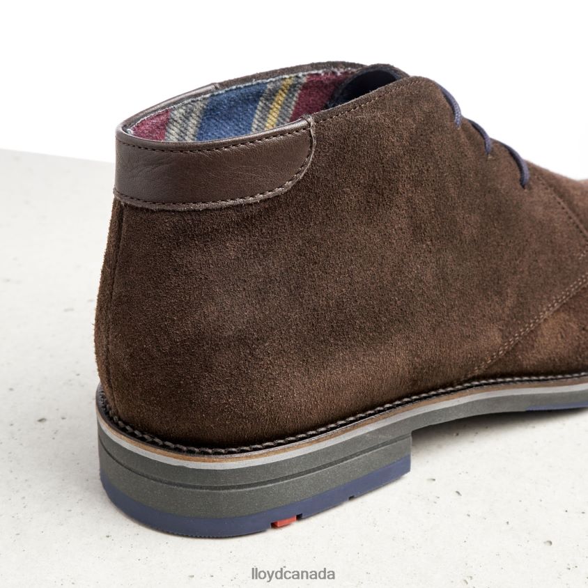 LENARD LLOYD Men brown R084ZF536 Shoes