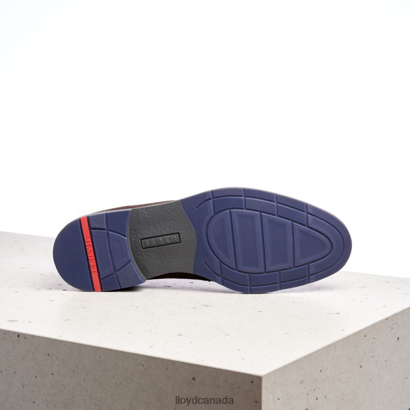 LENARD LLOYD Men brown R084ZF536 Shoes