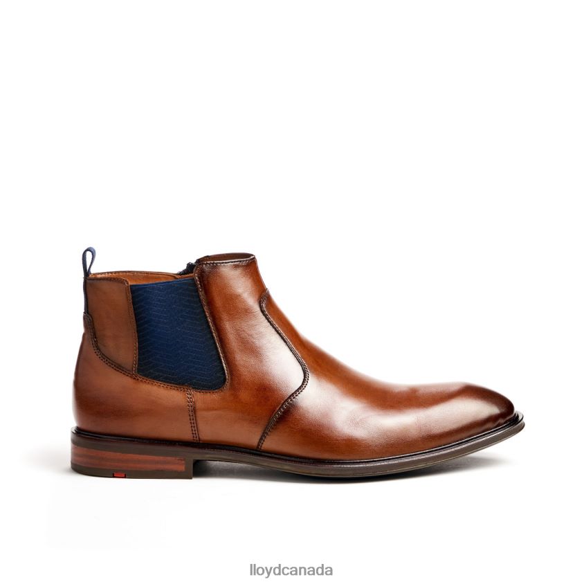 MATTEO LLOYD Men brown R084ZF12 Shoes