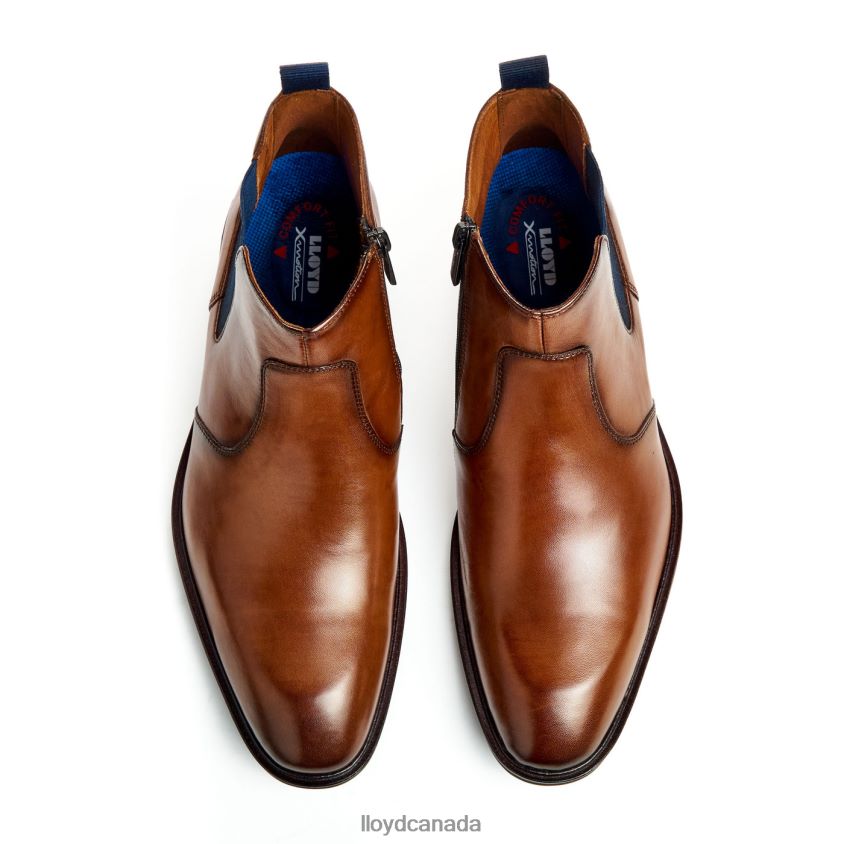 MATTEO LLOYD Men brown R084ZF12 Shoes