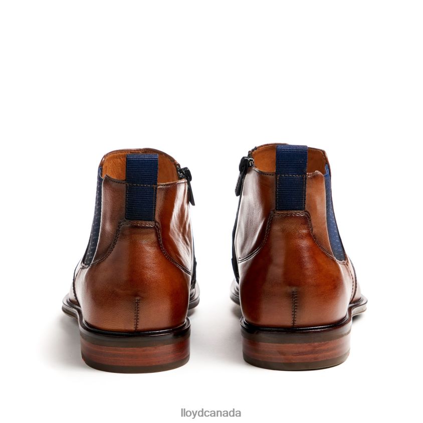MATTEO LLOYD Men brown R084ZF12 Shoes
