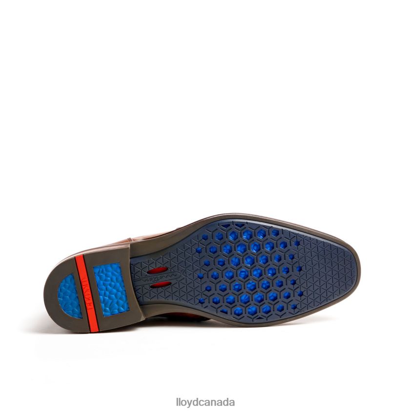 MATTEO LLOYD Men brown R084ZF12 Shoes