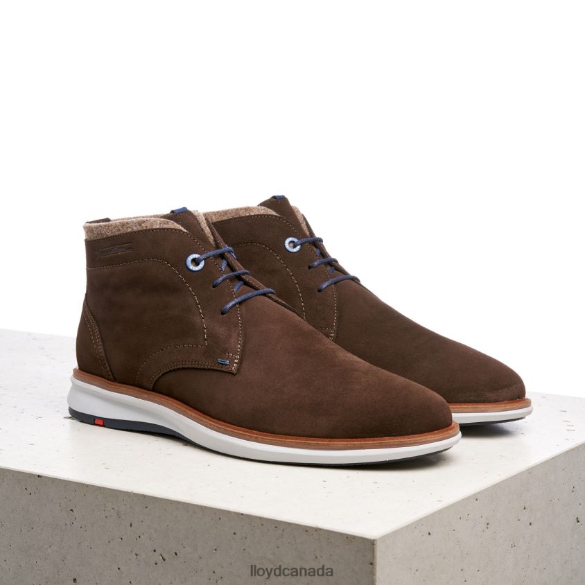 MAXWELL LLOYD Men brown R084ZF270 Shoes