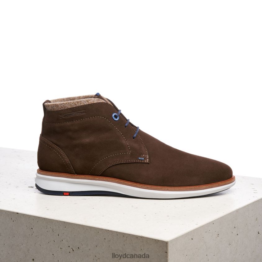 MAXWELL LLOYD Men brown R084ZF270 Shoes