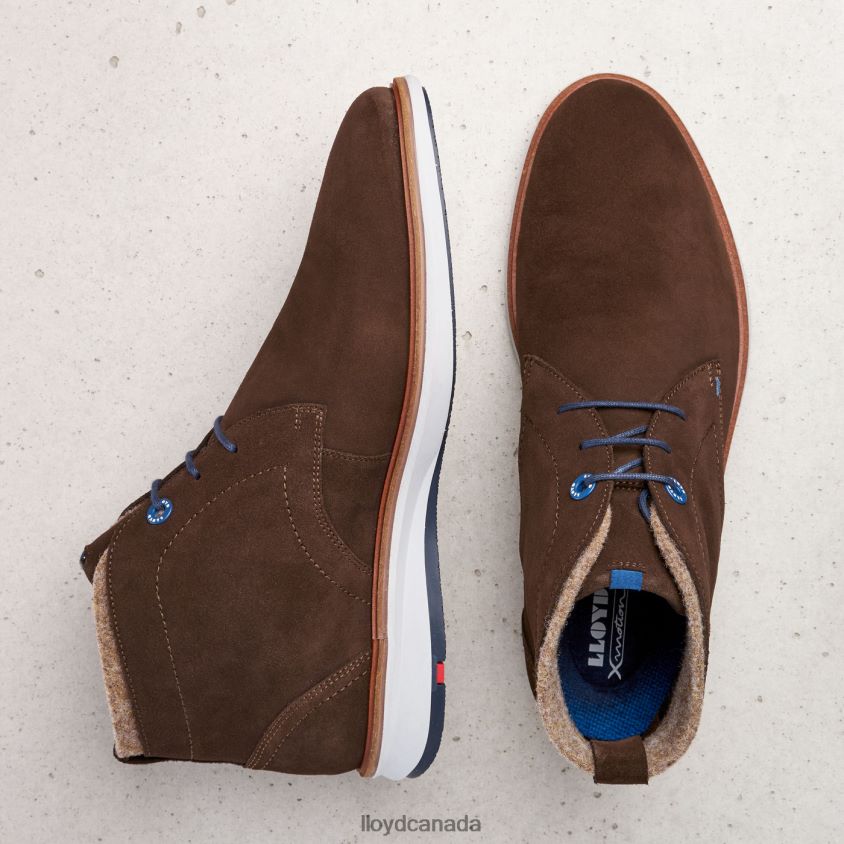 MAXWELL LLOYD Men brown R084ZF270 Shoes
