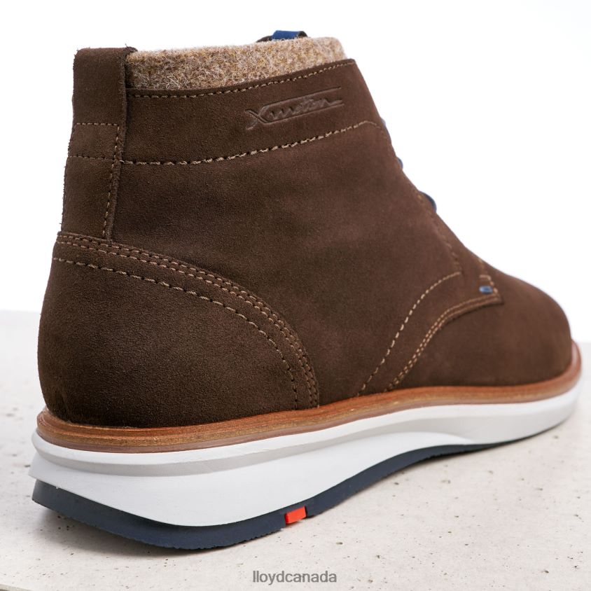 MAXWELL LLOYD Men brown R084ZF270 Shoes