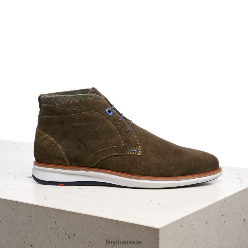 MAXWELL LLOYD Men brown R084ZF271 Shoes