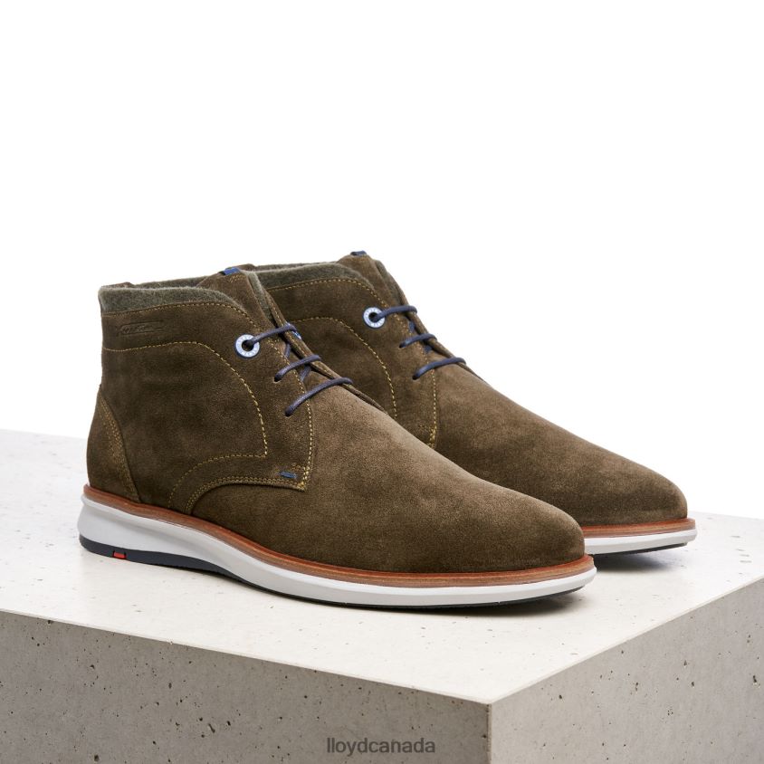 MAXWELL LLOYD Men brown R084ZF271 Shoes