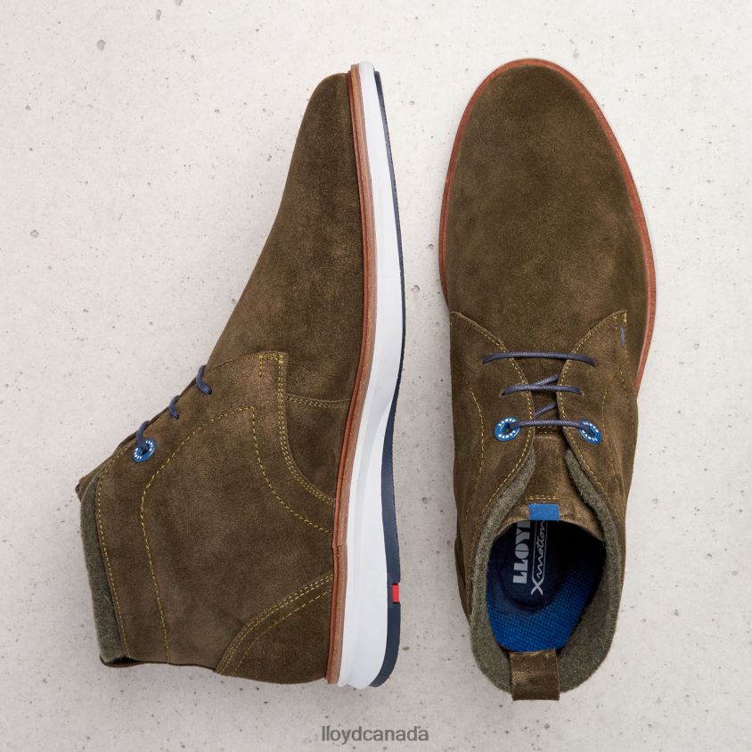 MAXWELL LLOYD Men brown R084ZF271 Shoes