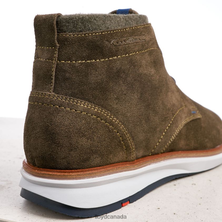 MAXWELL LLOYD Men brown R084ZF271 Shoes