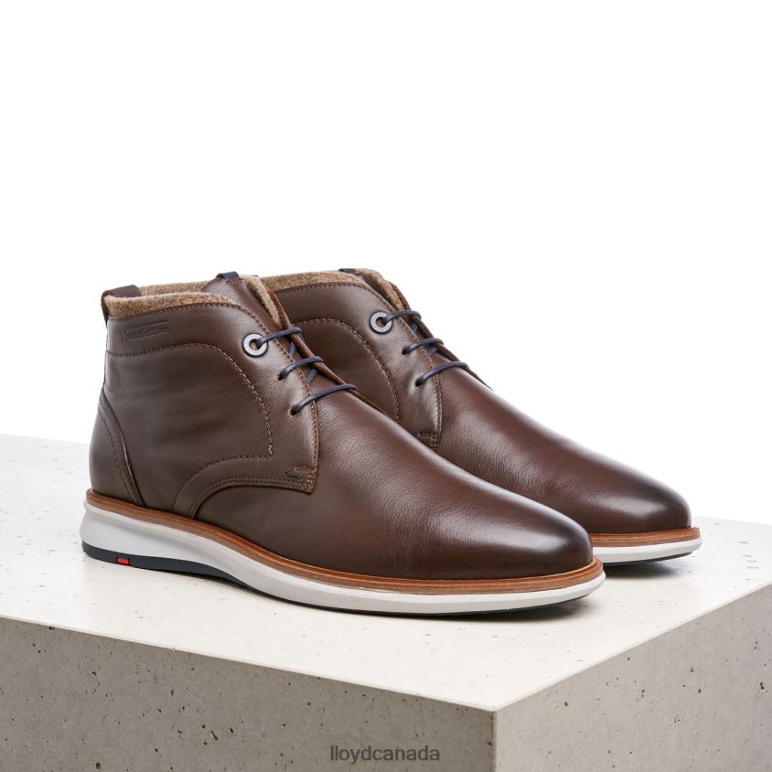 MAXWELL LLOYD Men brown R084ZF274 Shoes