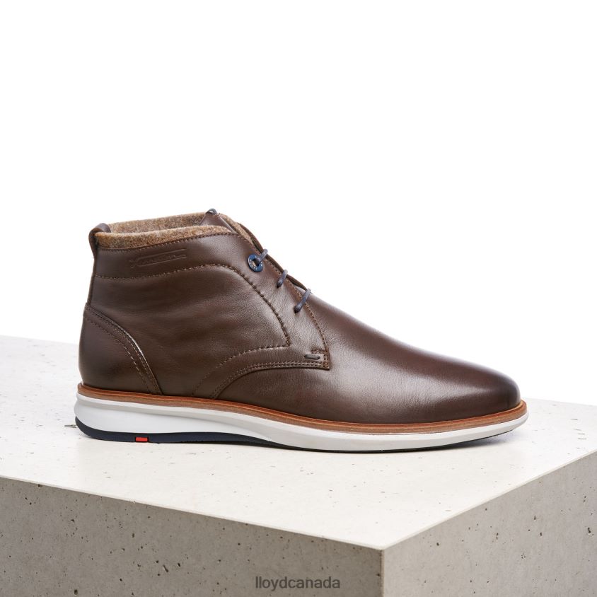 MAXWELL LLOYD Men brown R084ZF274 Shoes