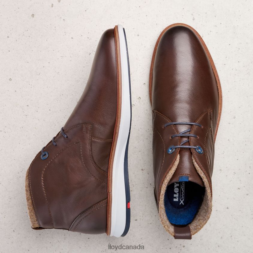 MAXWELL LLOYD Men brown R084ZF274 Shoes