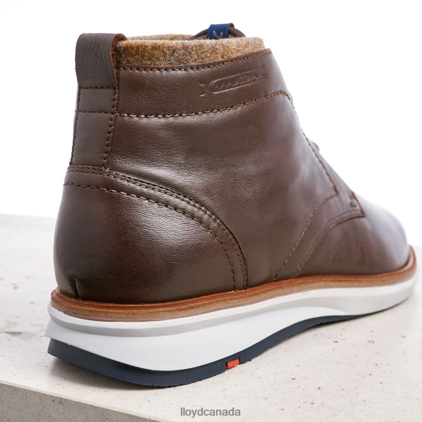 MAXWELL LLOYD Men brown R084ZF274 Shoes