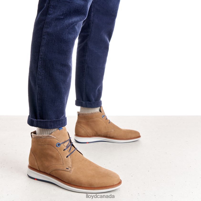 MAXWELL LLOYD Men brown R084ZF275 Shoes